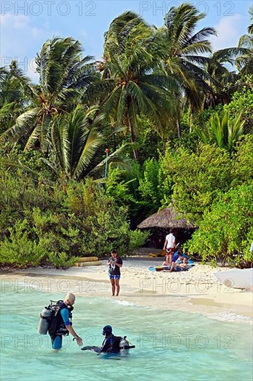 Maldives Island Beach Diver