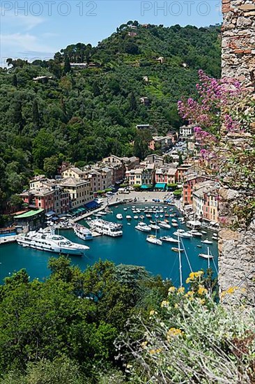View from Castello Brown on Portofino Harbour