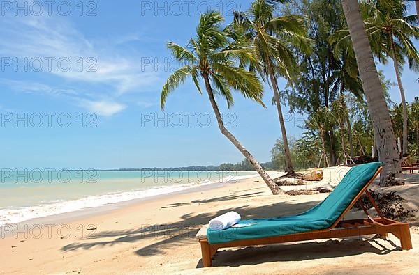 Beach lounger under palm trees by the sea
