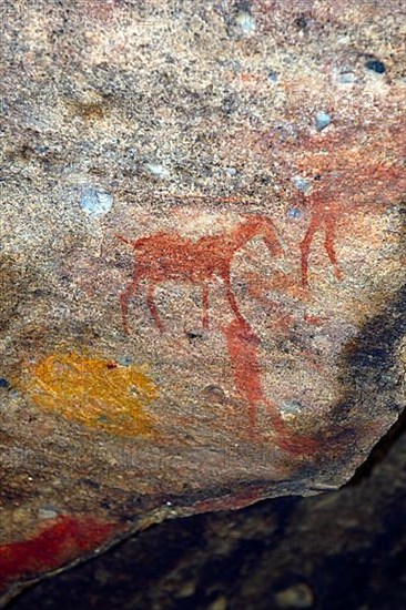 Ancient rock art