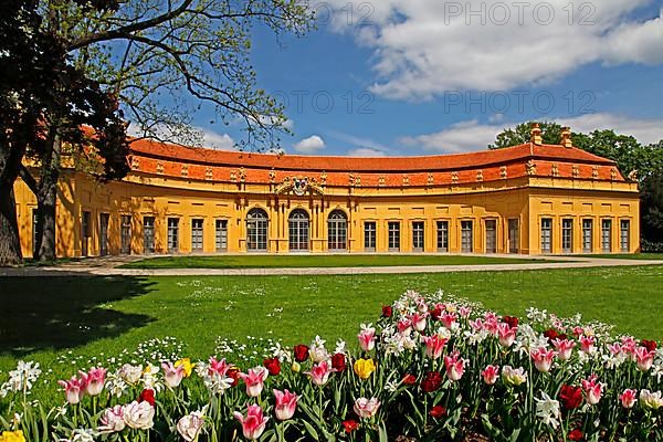 Palace Garden