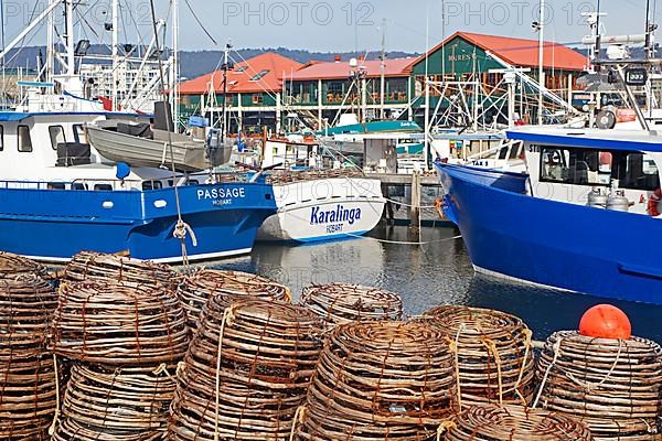 Lobster traps