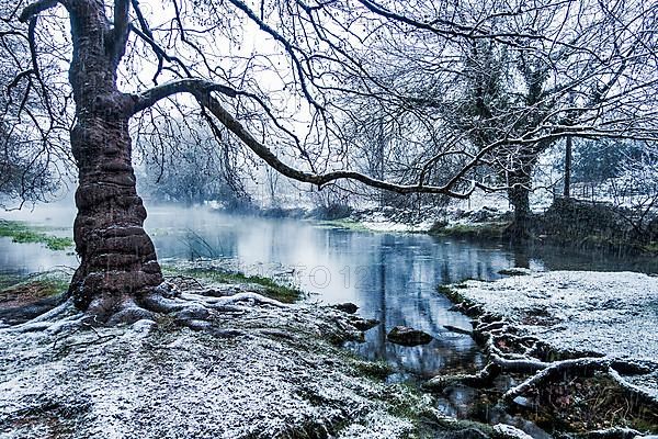 Bueges spring