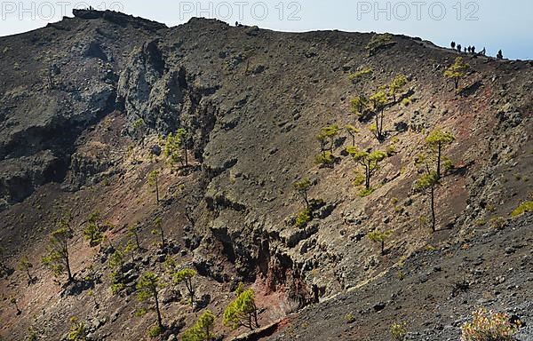 The San Antonio volcano on La Palma