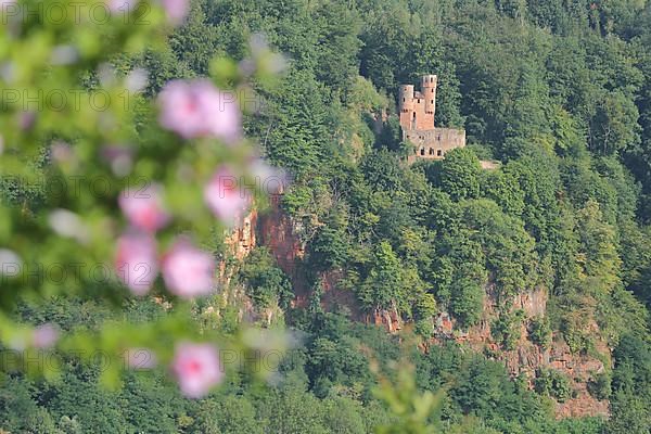 View of Schadeck Castle or Swallow's Nest with rock cliffs in Neckarsteinach