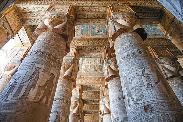 Columns and hall ceiling