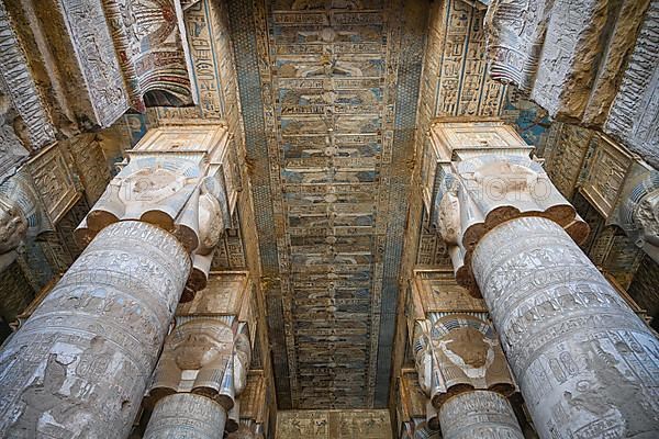 Columns and hall ceiling