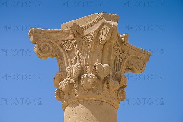 Column with Corinthian capital