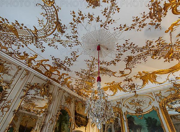 Ceiling vault in the Marble Hall