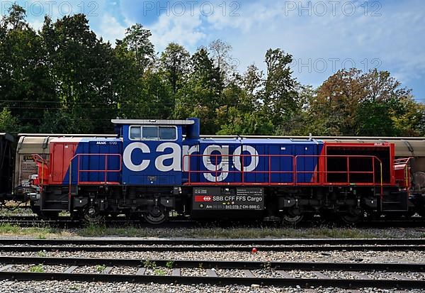 SBB Locomotive Cargo