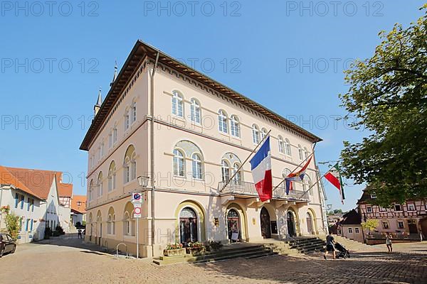 Town hall with French national flag in Bad Wimpfen