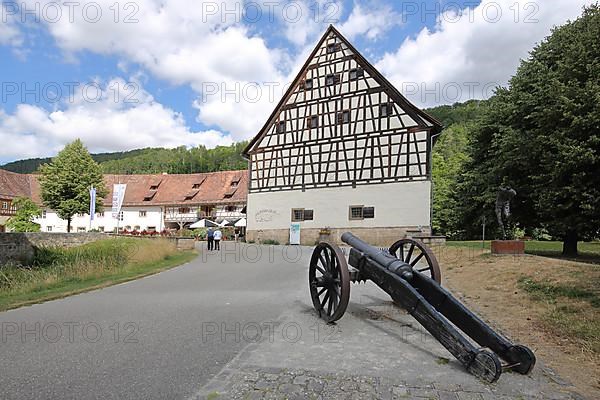 Cannon at the moated castle in Glatt