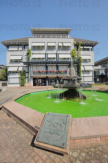 Town hall with town coat of arms and fountain with green water at Leopoldsplatz in Eberbach