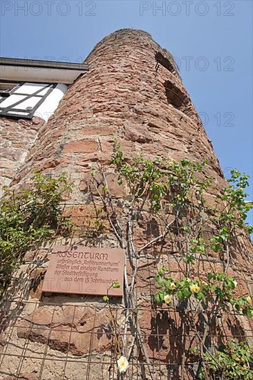 Historic Rose Tower with view upwards in Eberbach