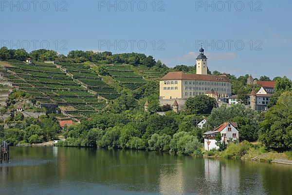 Horneck Castle in Gundelsheim