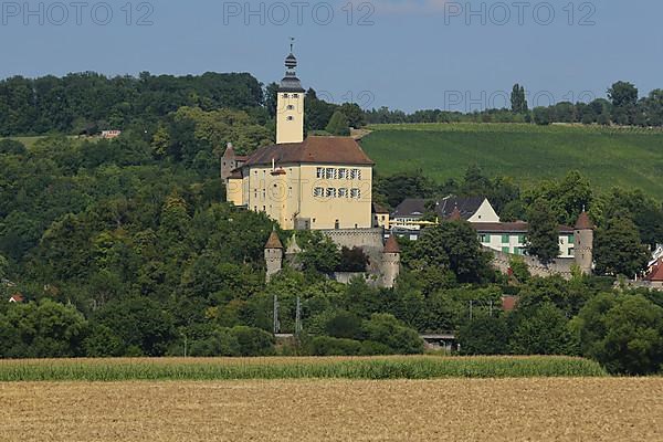 View of Horneck Castle in Gundelsheim