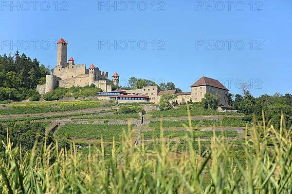 Hornberg Castle built 11th century in Neckarzimmern