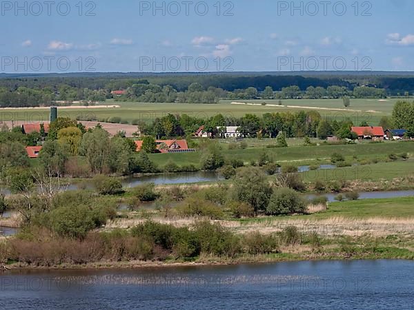 Elbe and side arms in the Elbe floodplain in the UNESCO Biosphere Reserve Elbe River Landscape