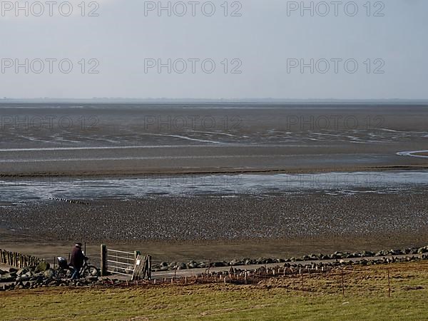 Cycle path and hiking trail along the coast in the Schleswig-Holstein Wadden Sea National Park off Nordstrand. Nordstrand