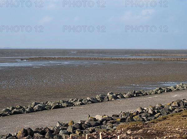 Cycle path and hiking trail along the coast in the Schleswig-Holstein Wadden Sea National Park off Nordstrand. Nordstrand