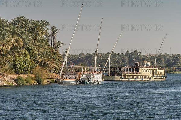 Dahabeya Cruise Ships