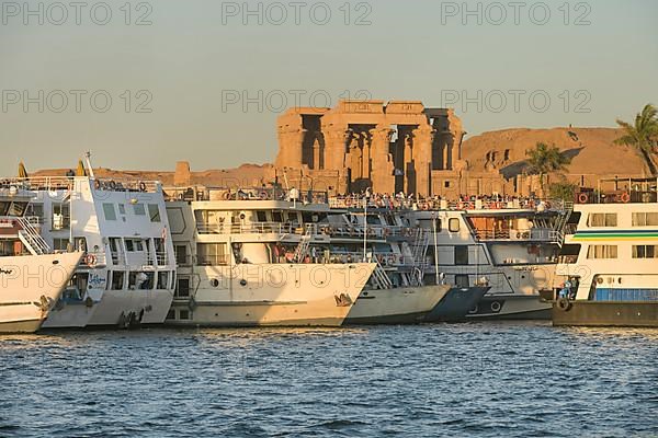 Cruise ships