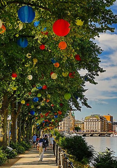 The trees on Ballindamm by the Inner Alster Lake are decorated with lanterns at Hamburg's summer gardens