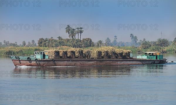Transport ship sugar cane