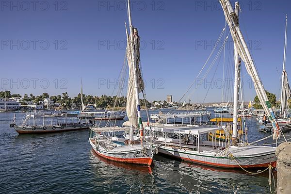 Sailing boats