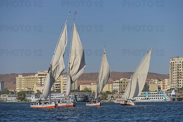 Sailing boats