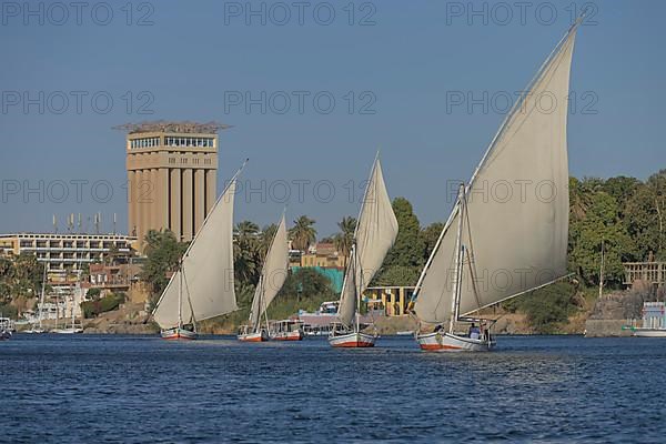 Sailing boats