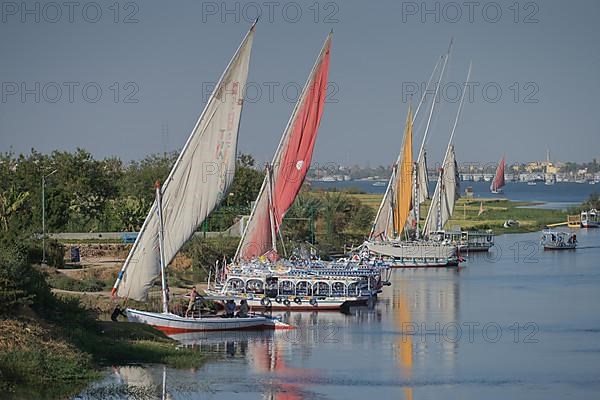 Excursion boats