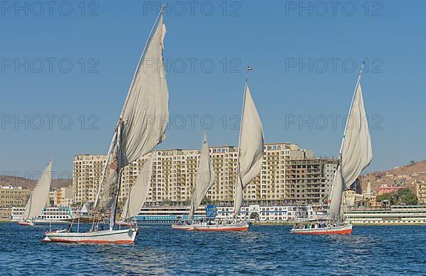 Sailing boats