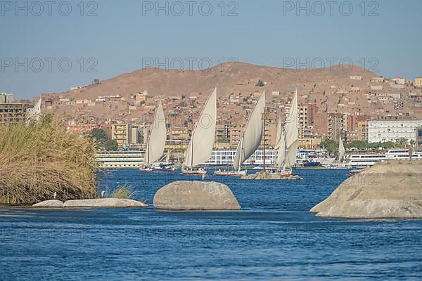 Sailing boats