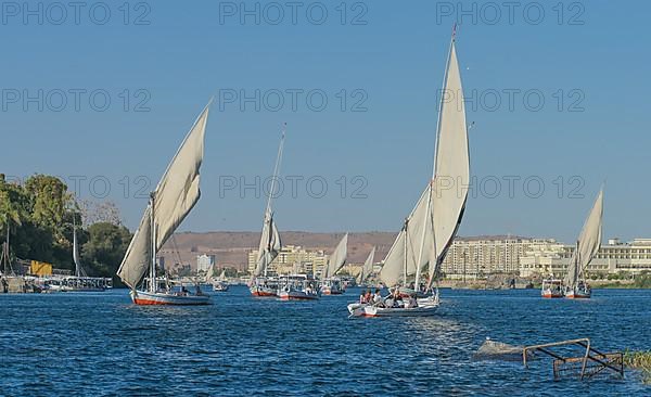 Sailing boats