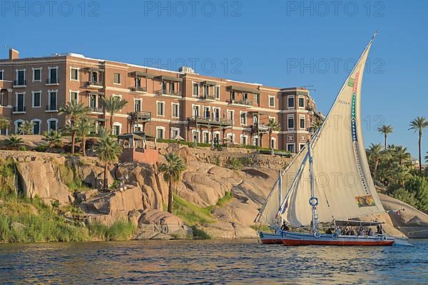 Excursion boats on the Nile