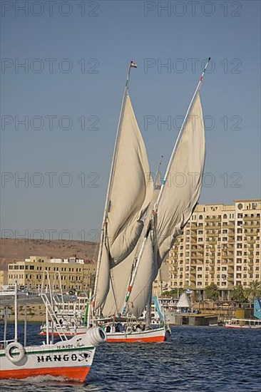 Sailing boats