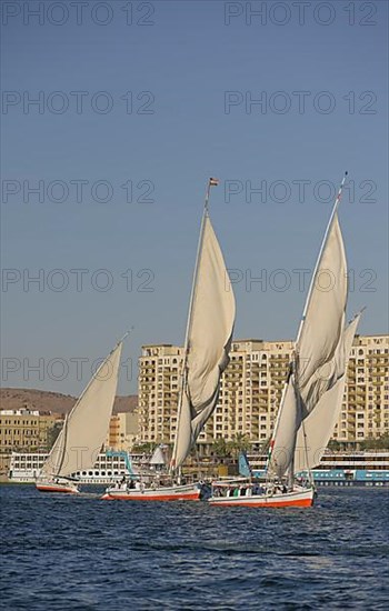 Sailing boats