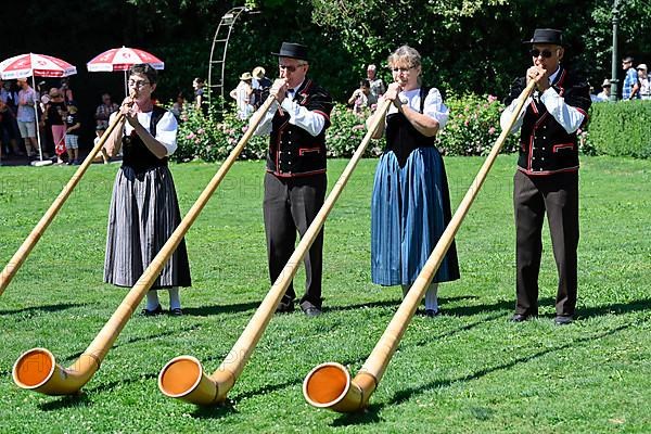 Alphorn players