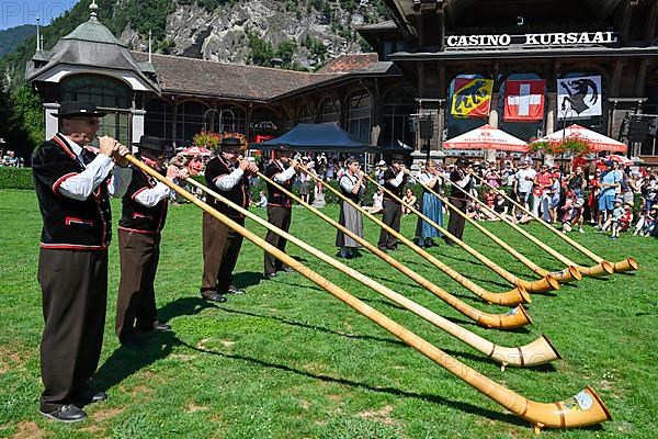 Alphorn players