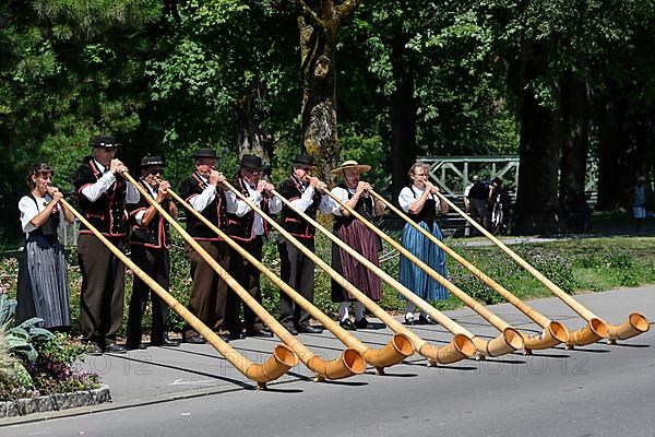 Alphorn players