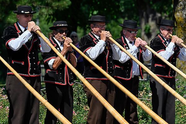 Alphorn players