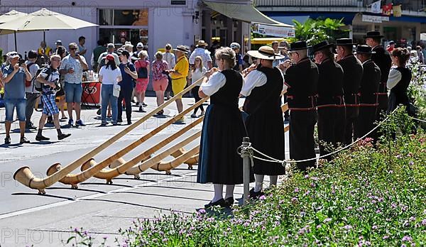 Alphorn players