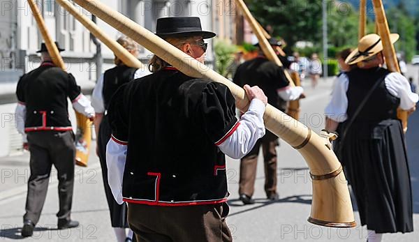 Alphorn players