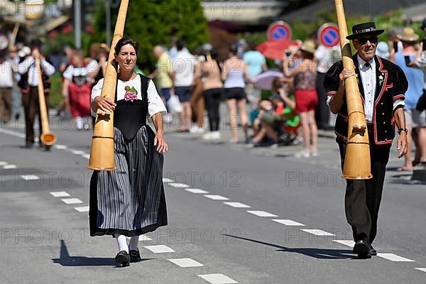 Alphorn players