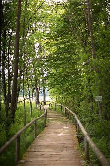 Wooden path through peat pit