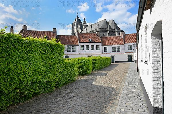 Saint Elisabeth Beguinage