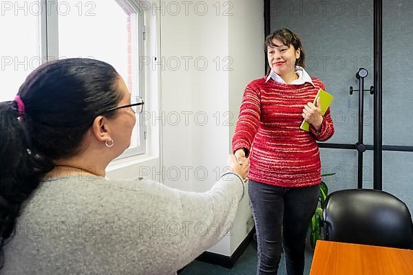 Smiling business woman shaking hands with another. Concept of deal