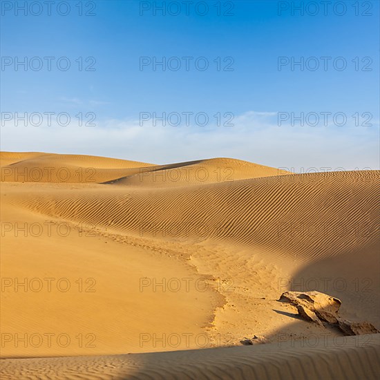 Dunes of Thar Desert. Sam Sand dunes