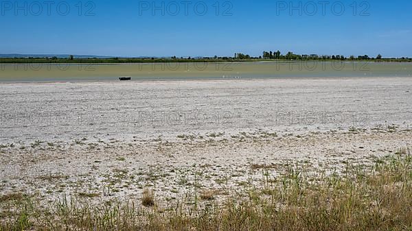 Heavily dried out Darscho or Warmsee